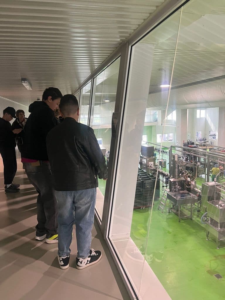 Elevi privind linia de producție a fabricii printr-un perete de sticlă