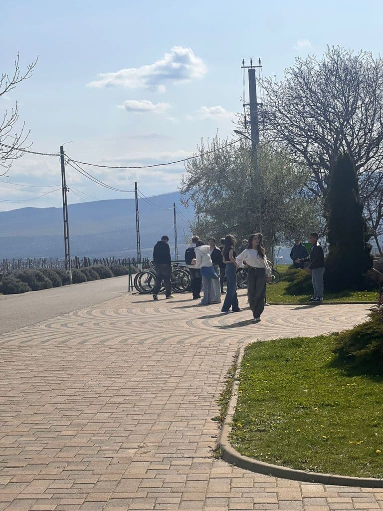 Aleea podgoriei, cu dealurile în fundal