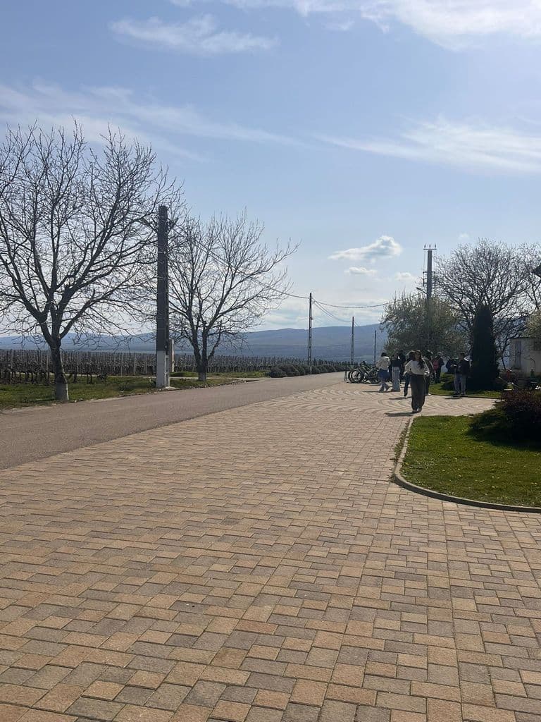 Drumul pavat prin podgorie, cu dealurile la orizont